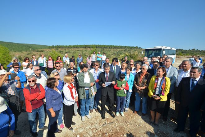 FOÇA ILIPINAR'DAKİ AĞAÇ KATLİAMINA DUR DENİLDİ 