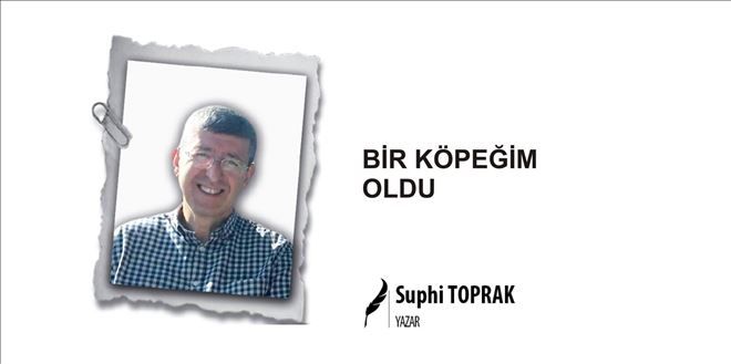 BİR KÖPEĞİM OLDU