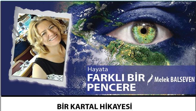 BİR KARTAL HİKAYESİ 