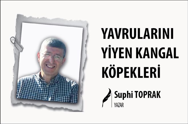 YAVRULARINI YİYEN KANGAL KÖPEKLERİ