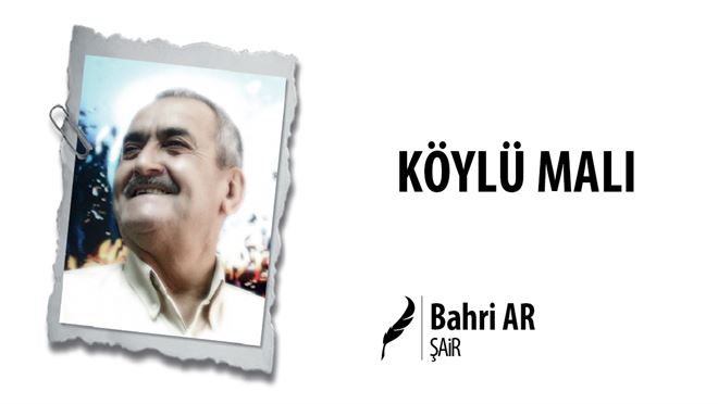 KÖYLÜ MALI