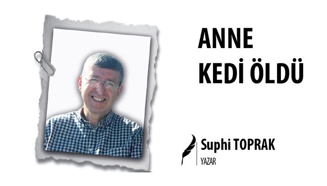 ANNE KEDİ ÖLDÜ