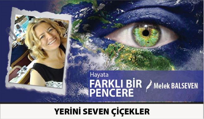 YERİNİ SEVEN ÇİÇEKLER