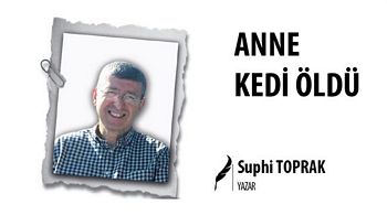 ANNE KEDİ ÖLDÜ